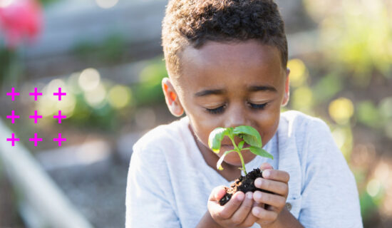 Aluno na horta da escola cheirando uma muda de planta que está na sua mão.