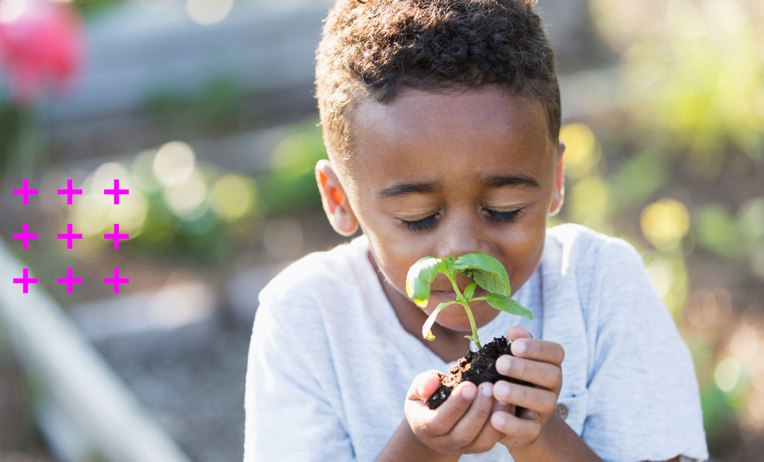 Aluno na horta da escola cheirando uma muda de planta que está na sua mão.