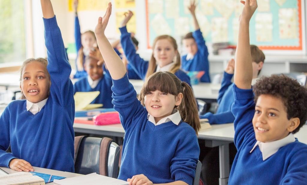 Tipos de educação básica: conheça as etapas, modalidades e importância para os estudantes